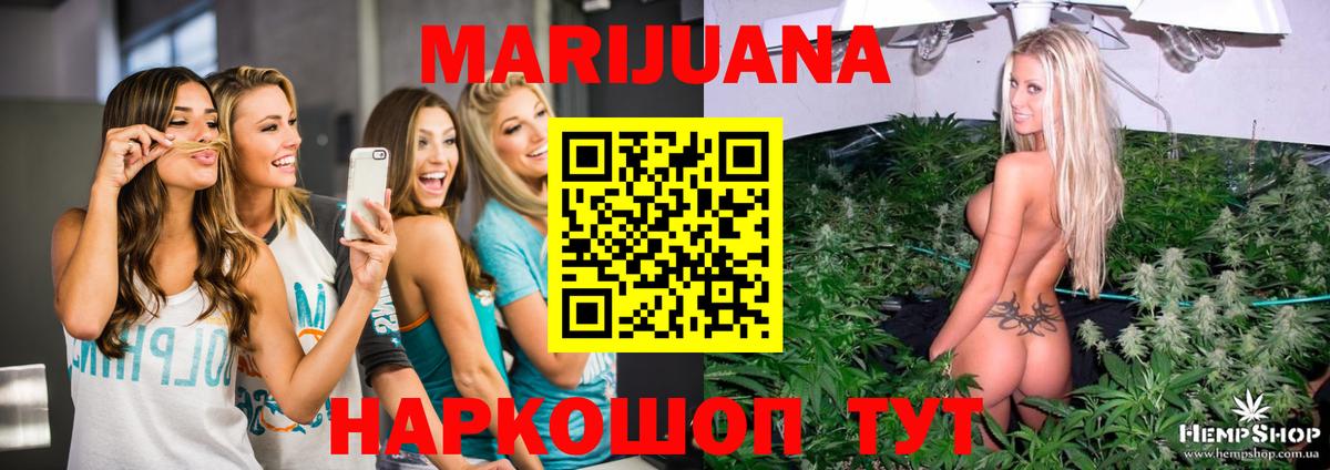 Канабис планчик  Вход с VPN  Каннабис сатива  Муравленко  МАРИХУАНА семена  Бошки марихуана марихуана 